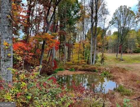 192 Flowers Drive Blairsville GA 30512