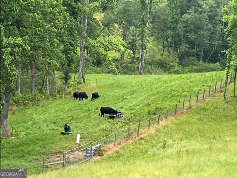 192 Flowers Drive Blairsville GA 30512