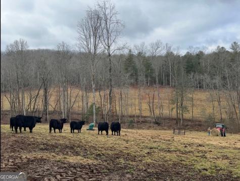 192 Flowers Drive Blairsville GA 30512
