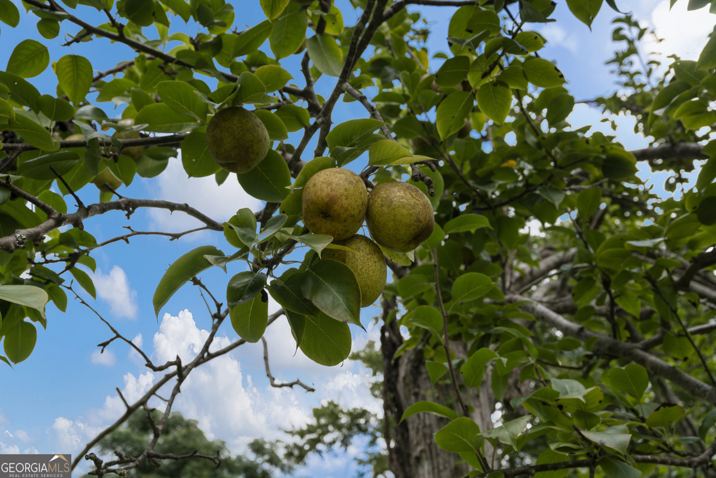 213 Broad Street Richland GA 31825