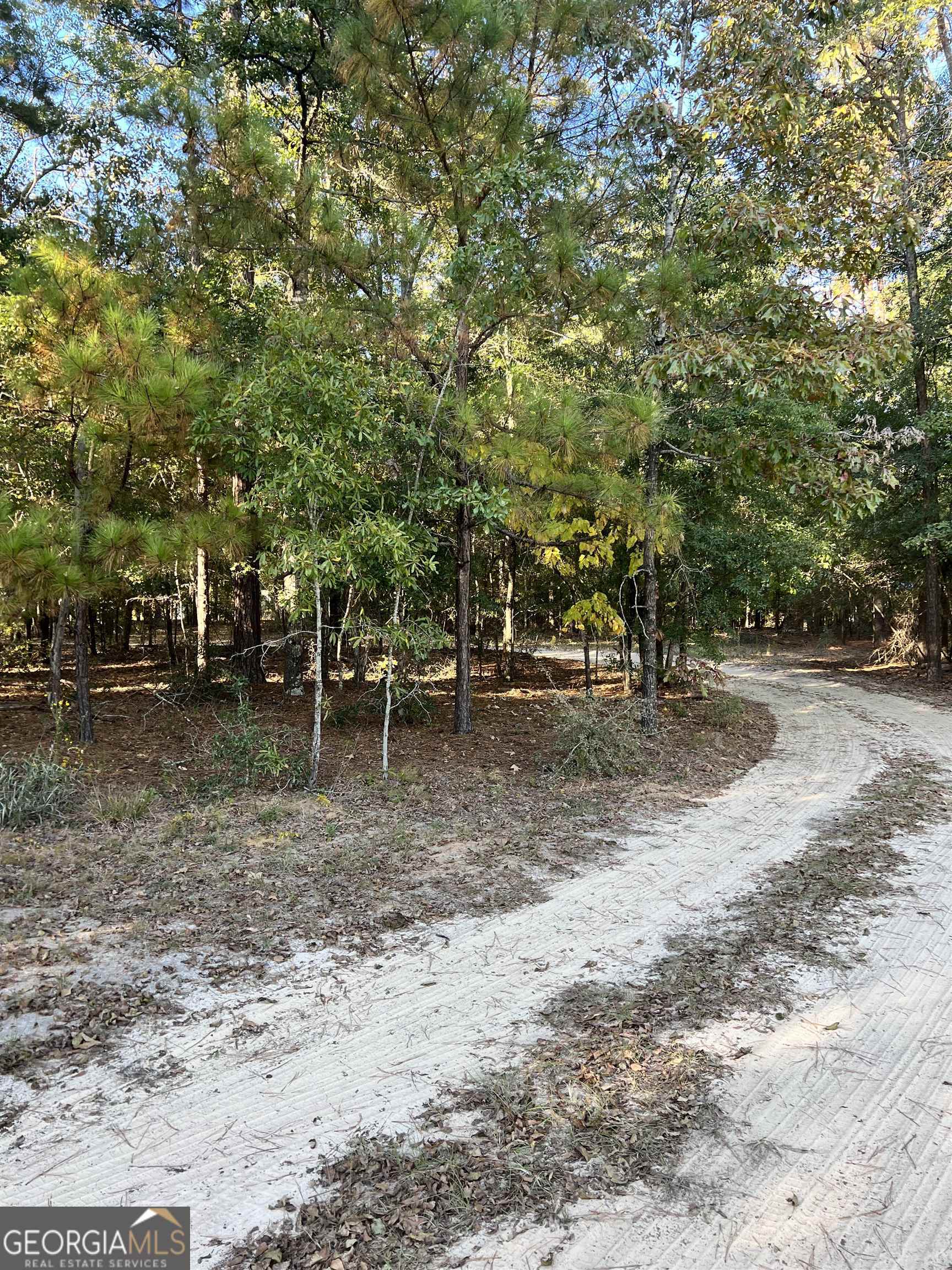 2382 Gallimore Mill Road Jeffersonville GA 31044