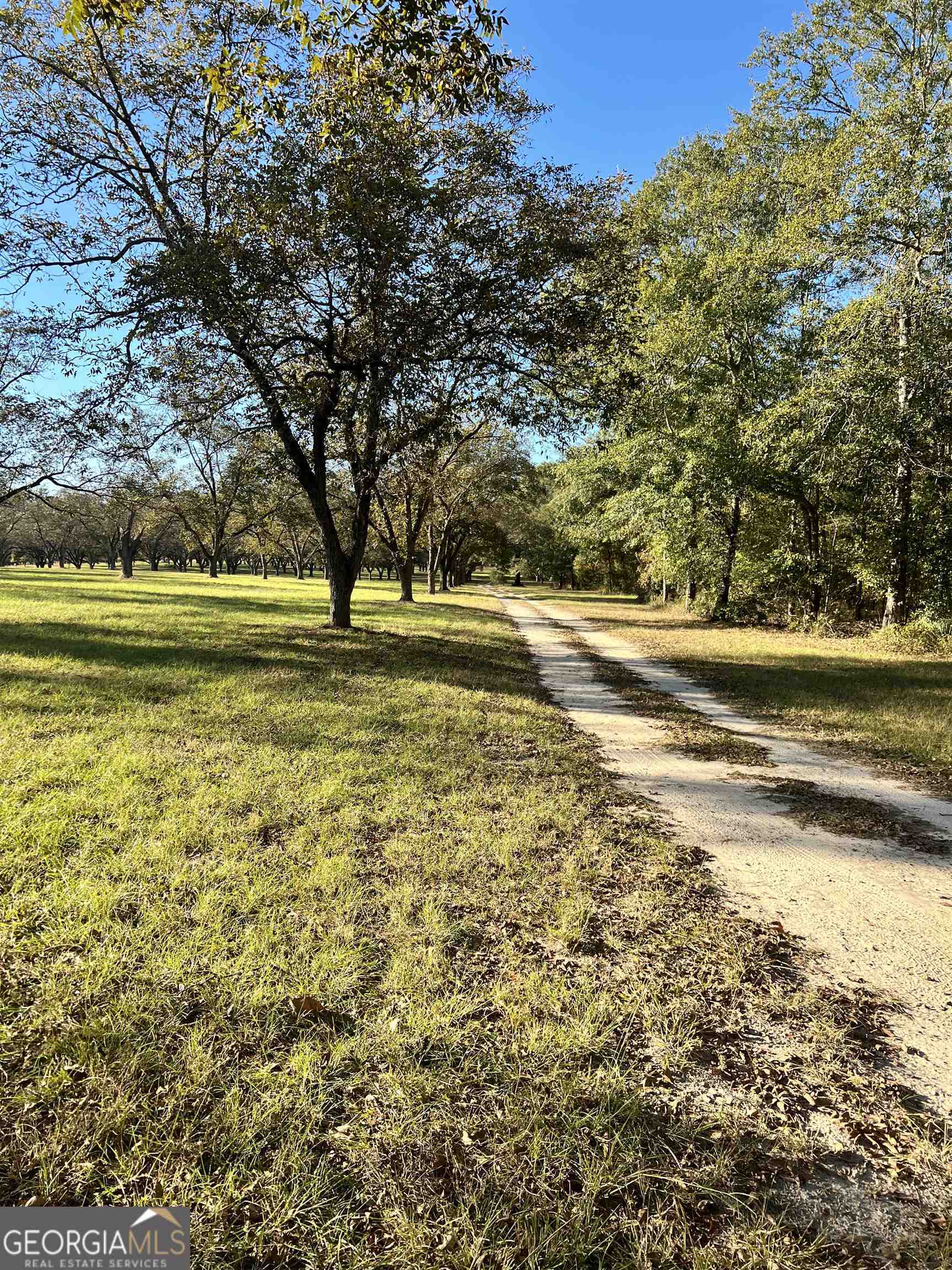 2382 Gallimore Mill Road Jeffersonville GA 31044
