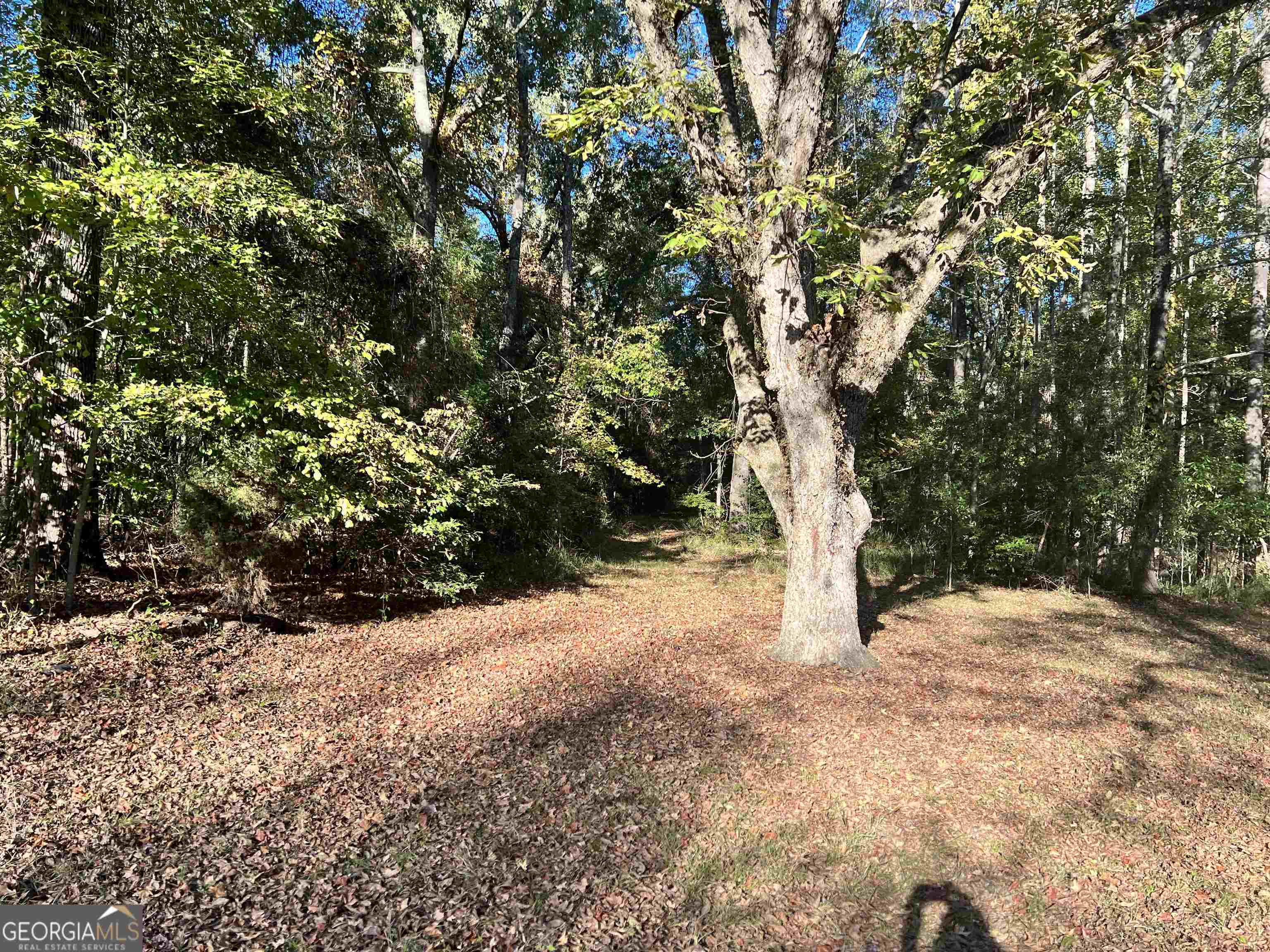 2382 Gallimore Mill Road Jeffersonville GA 31044