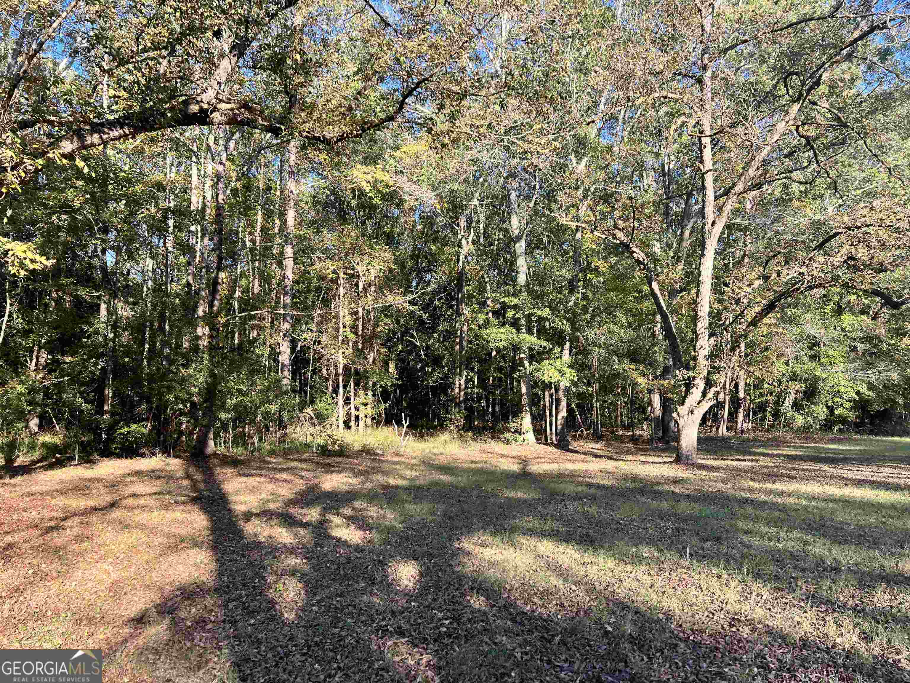 2382 Gallimore Mill Road Jeffersonville GA 31044