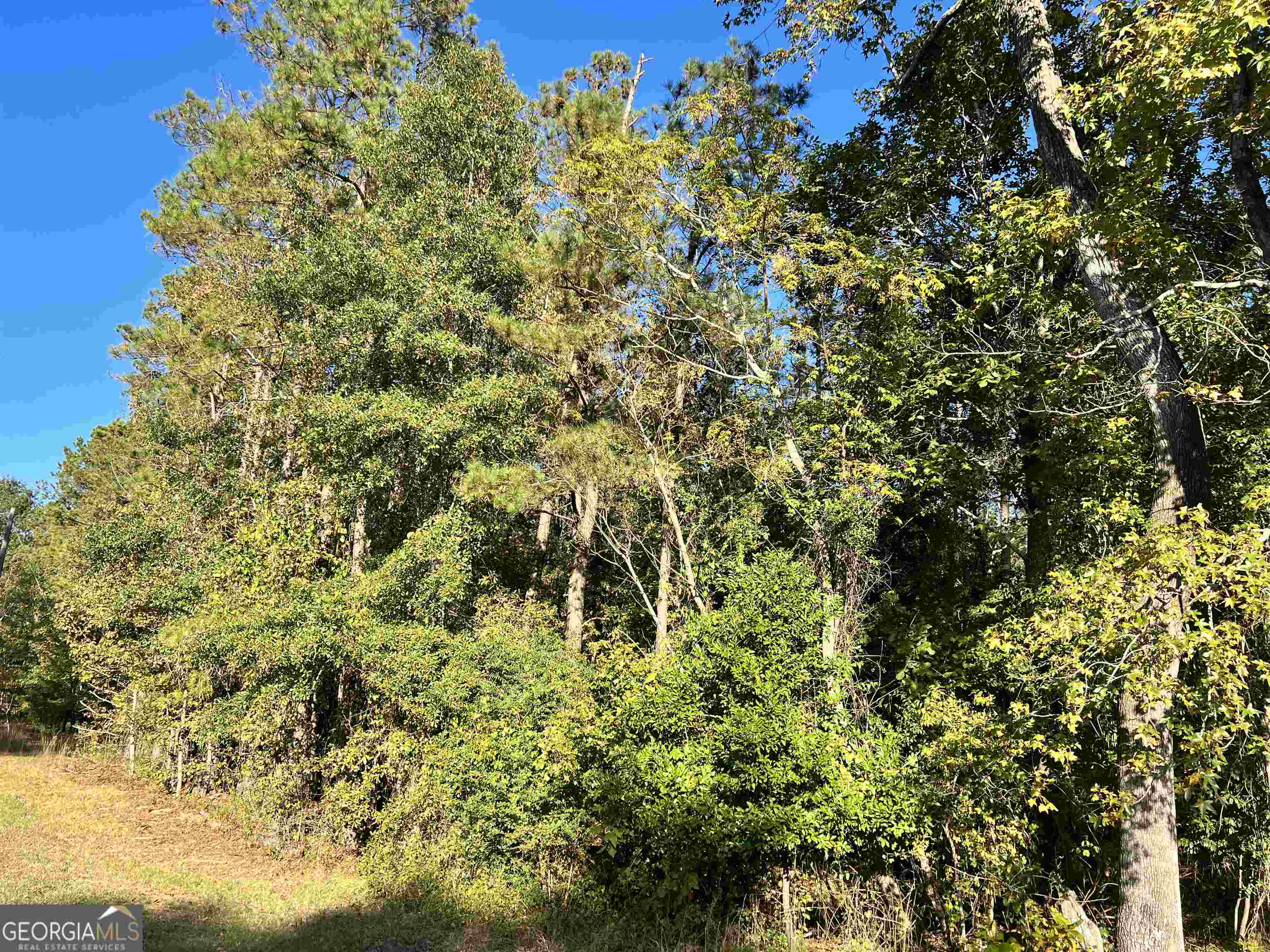 2382 Gallimore Mill Road Jeffersonville GA 31044