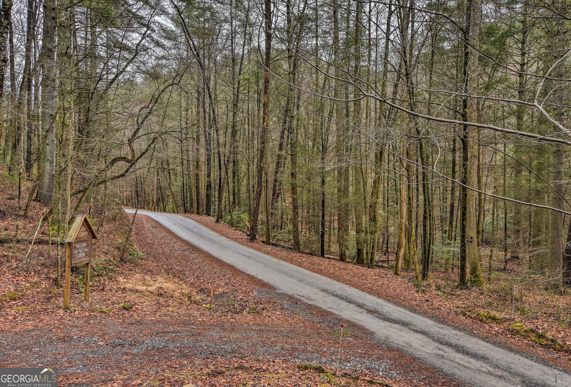 807 Little Rock Creek Road Cherry Log GA 30522