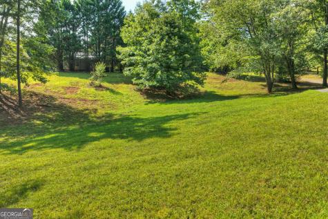 96 Creekside Drive Mccaysville GA 30555