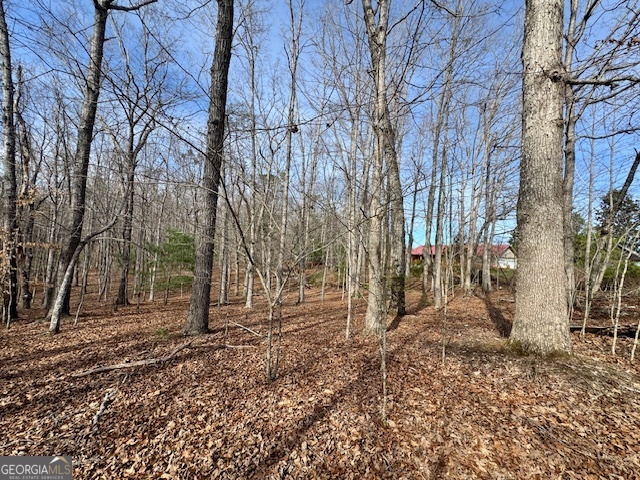 205 Oak Ridge Road Morganton GA 30560