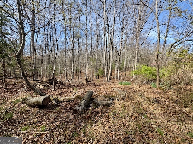 205 Oak Ridge Road Morganton GA 30560