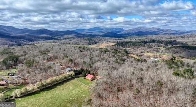 205 Oak Ridge Road Morganton GA 30560