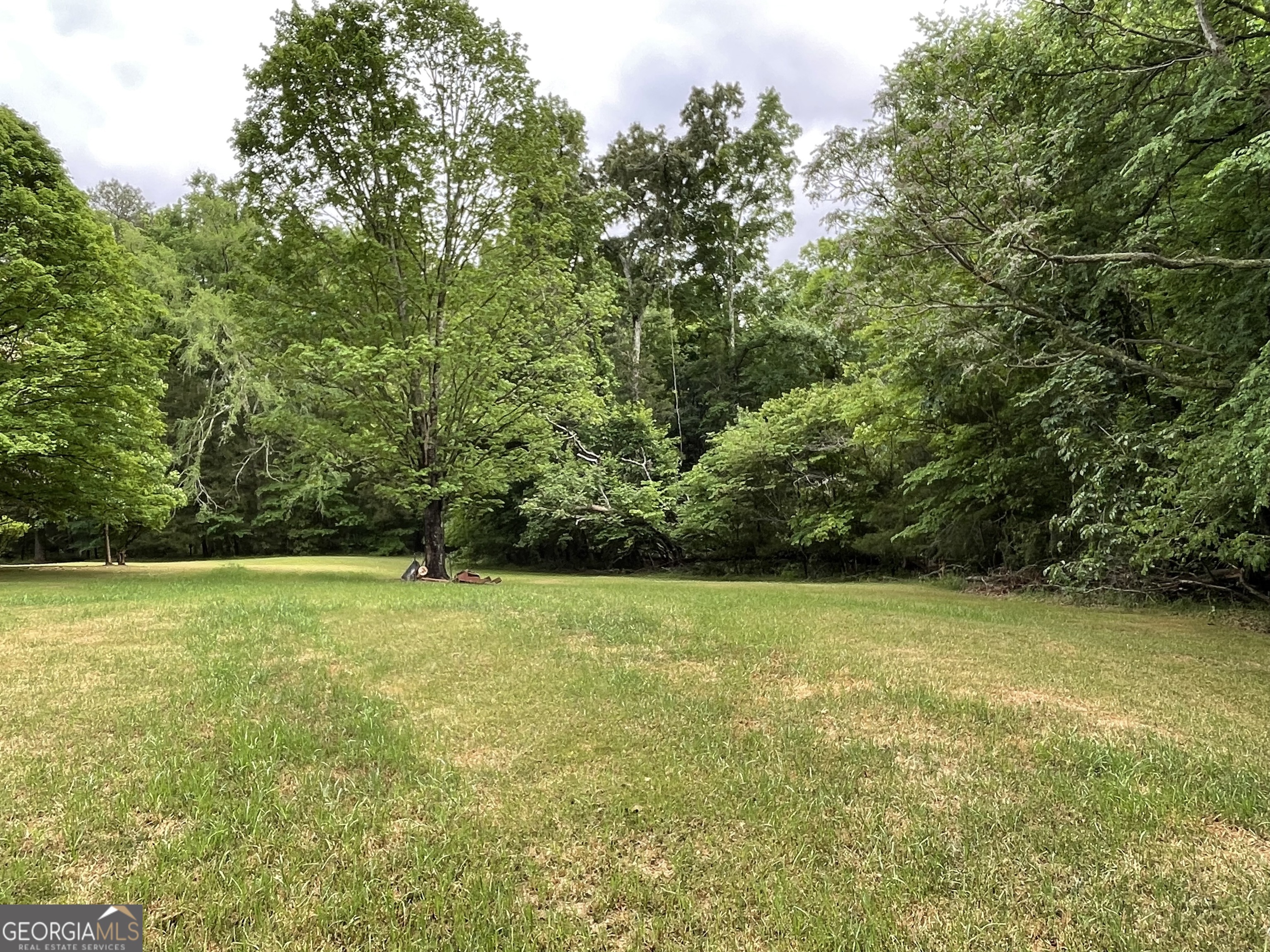 837 Bartram Trace Road Rayle GA 30660