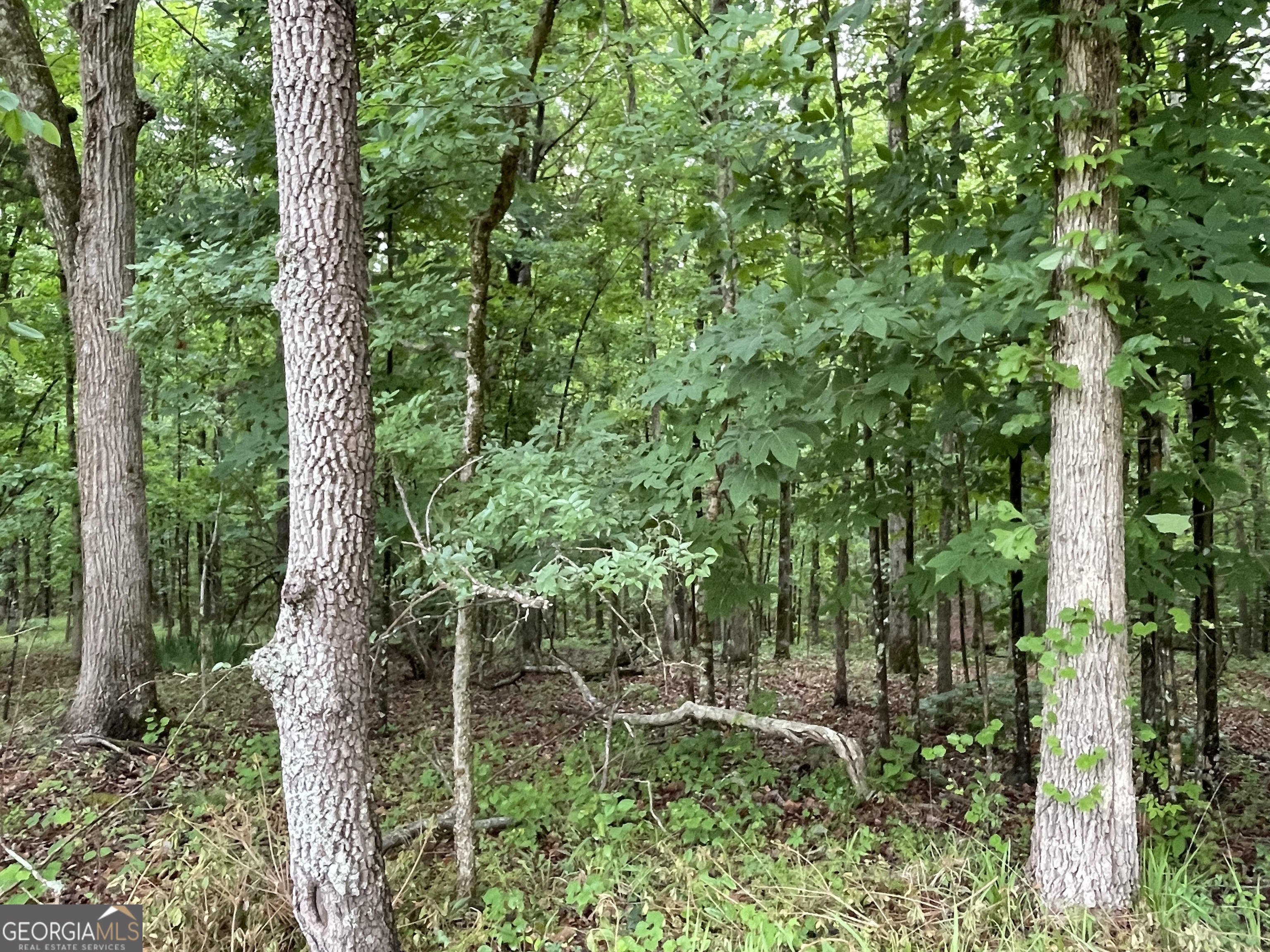 837 Bartram Trace Road Rayle GA 30660
