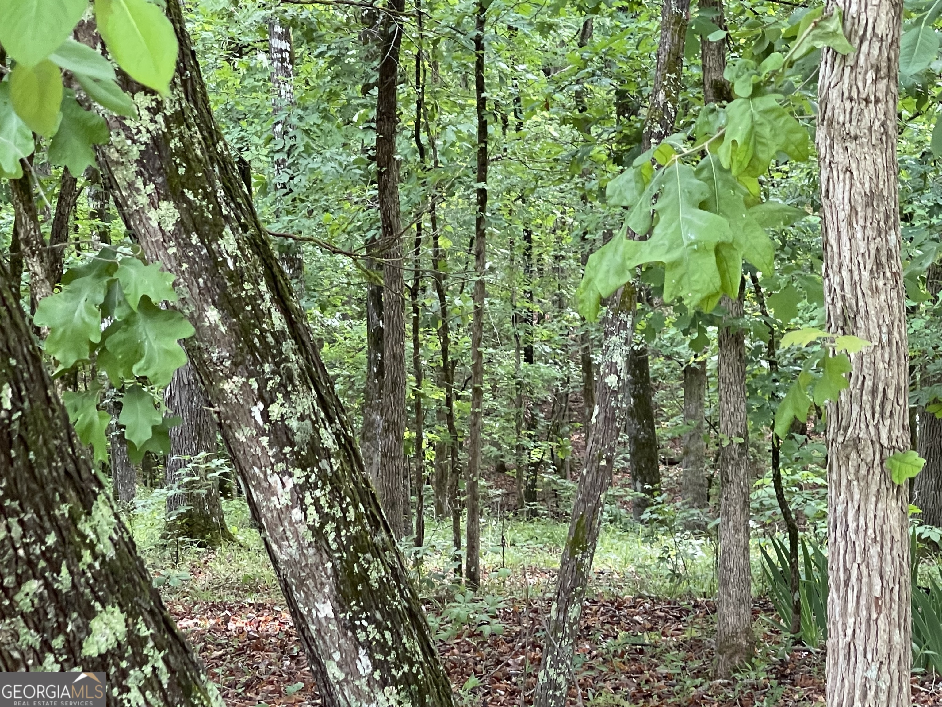 837 Bartram Trace Road Rayle GA 30660