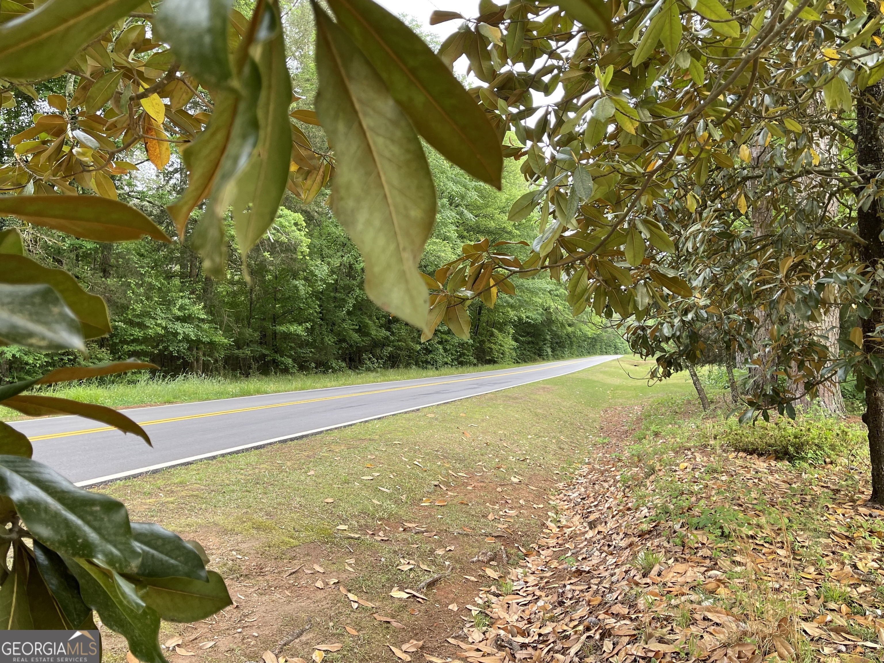 837 Bartram Trace Road Rayle GA 30660