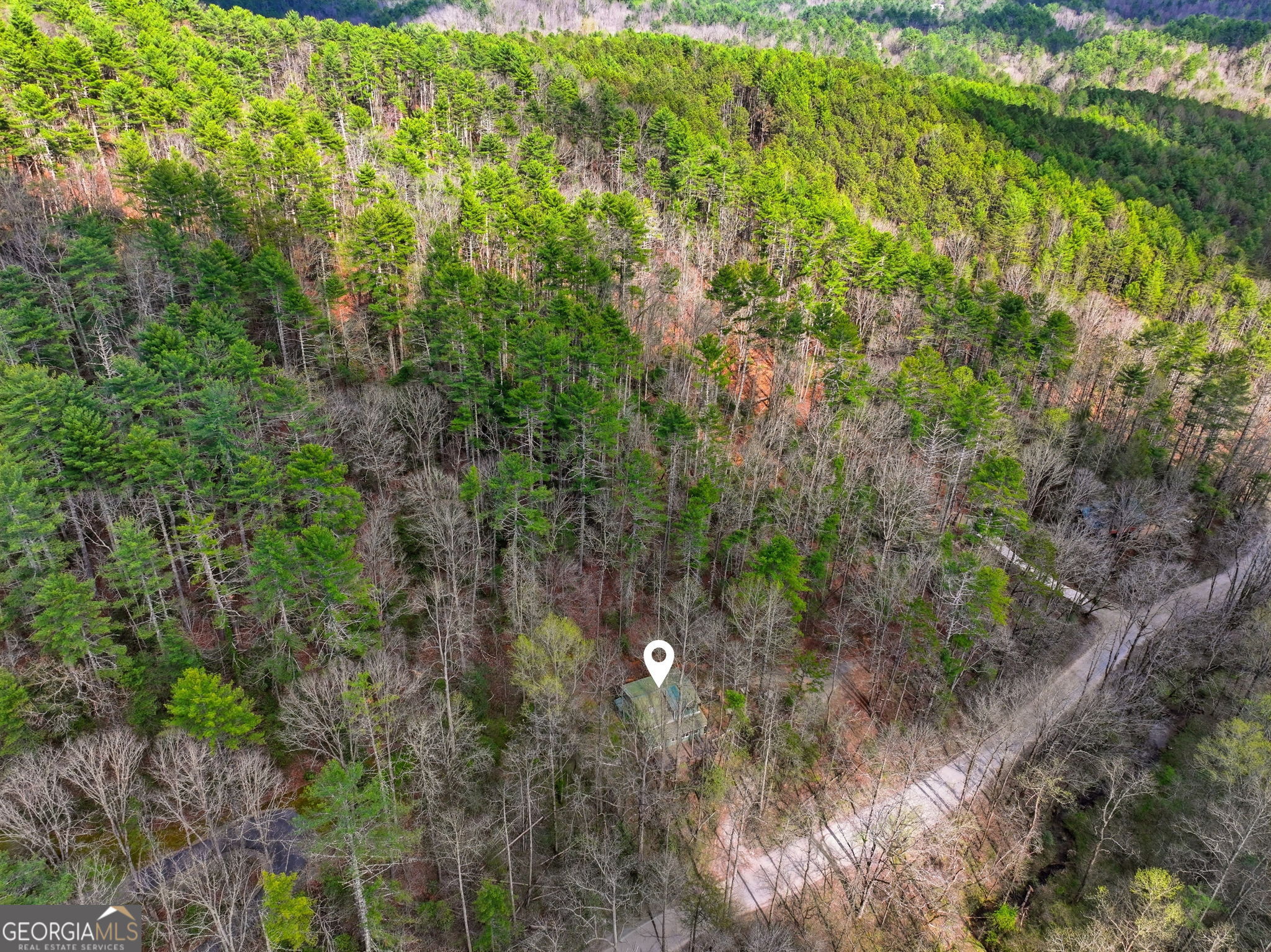 1780 Conasauga Road Ellijay GA 30540