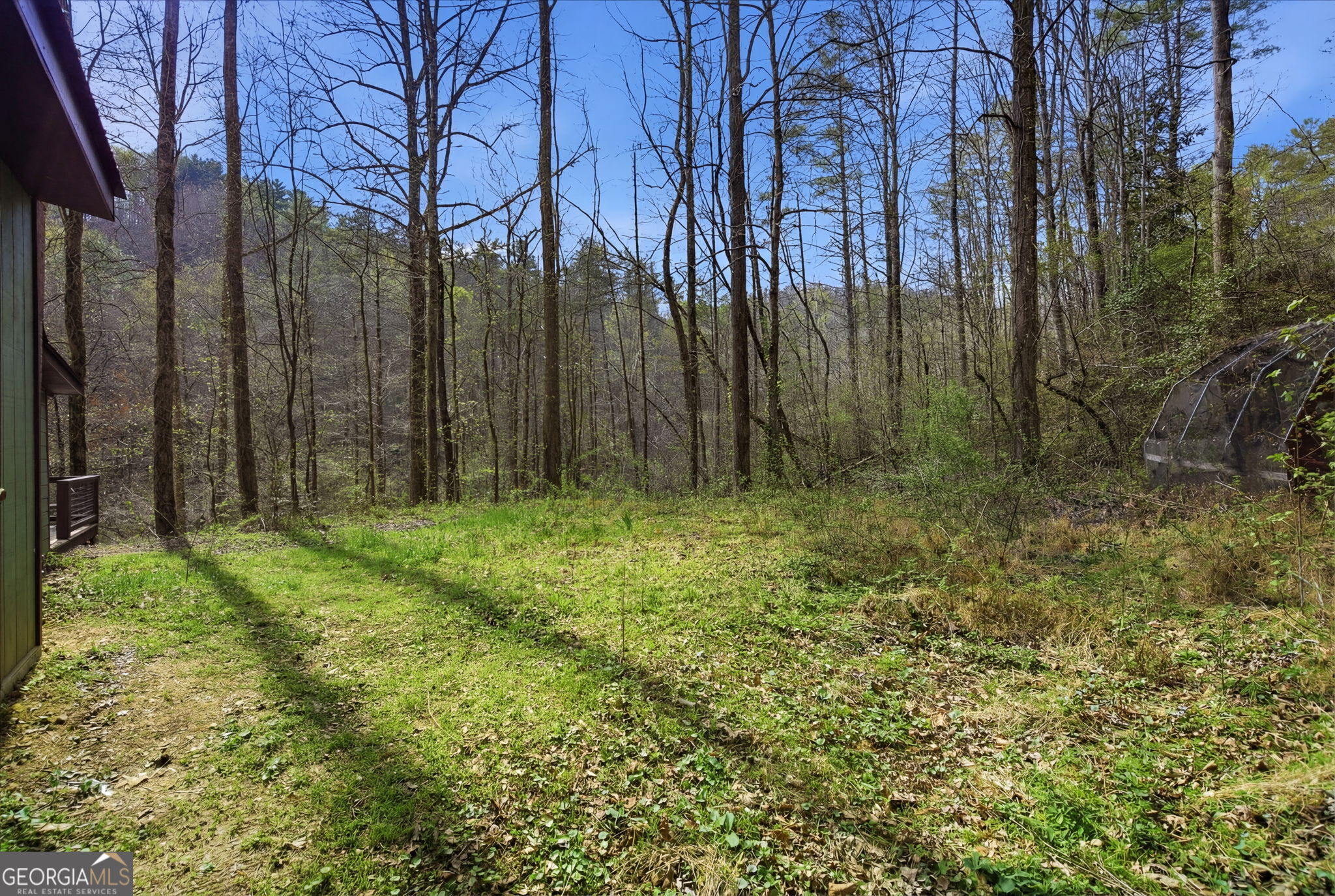 1780 Conasauga Road Ellijay GA 30540