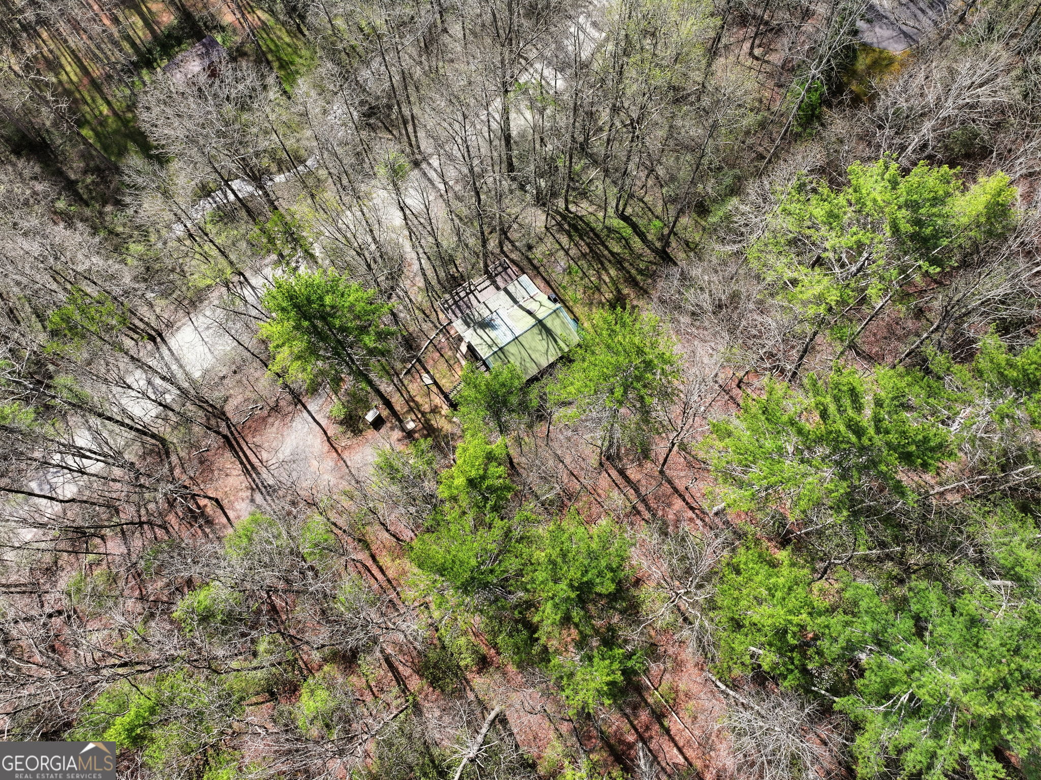 1780 Conasauga Road Ellijay GA 30540