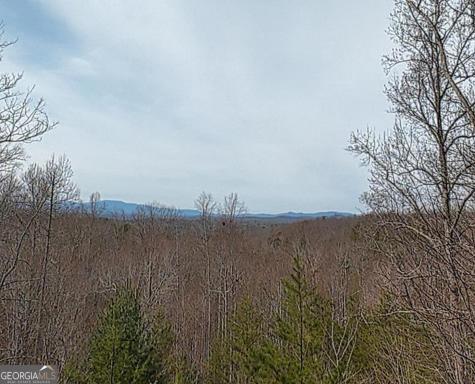 76 Channing Hollow Morganton GA 30560