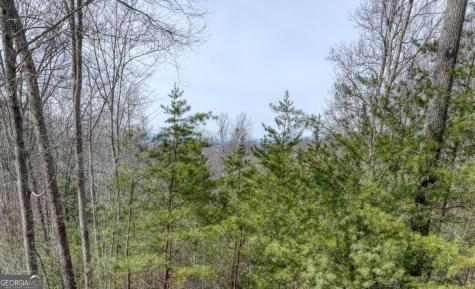 76 Channing Hollow Morganton GA 30560