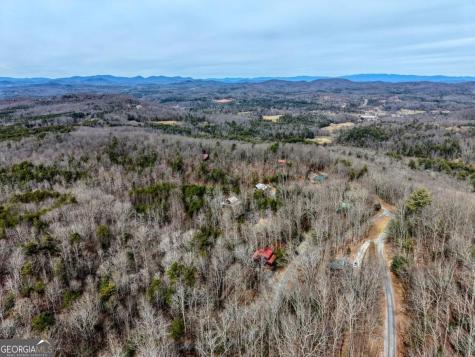 76 Channing Hollow Morganton GA 30560