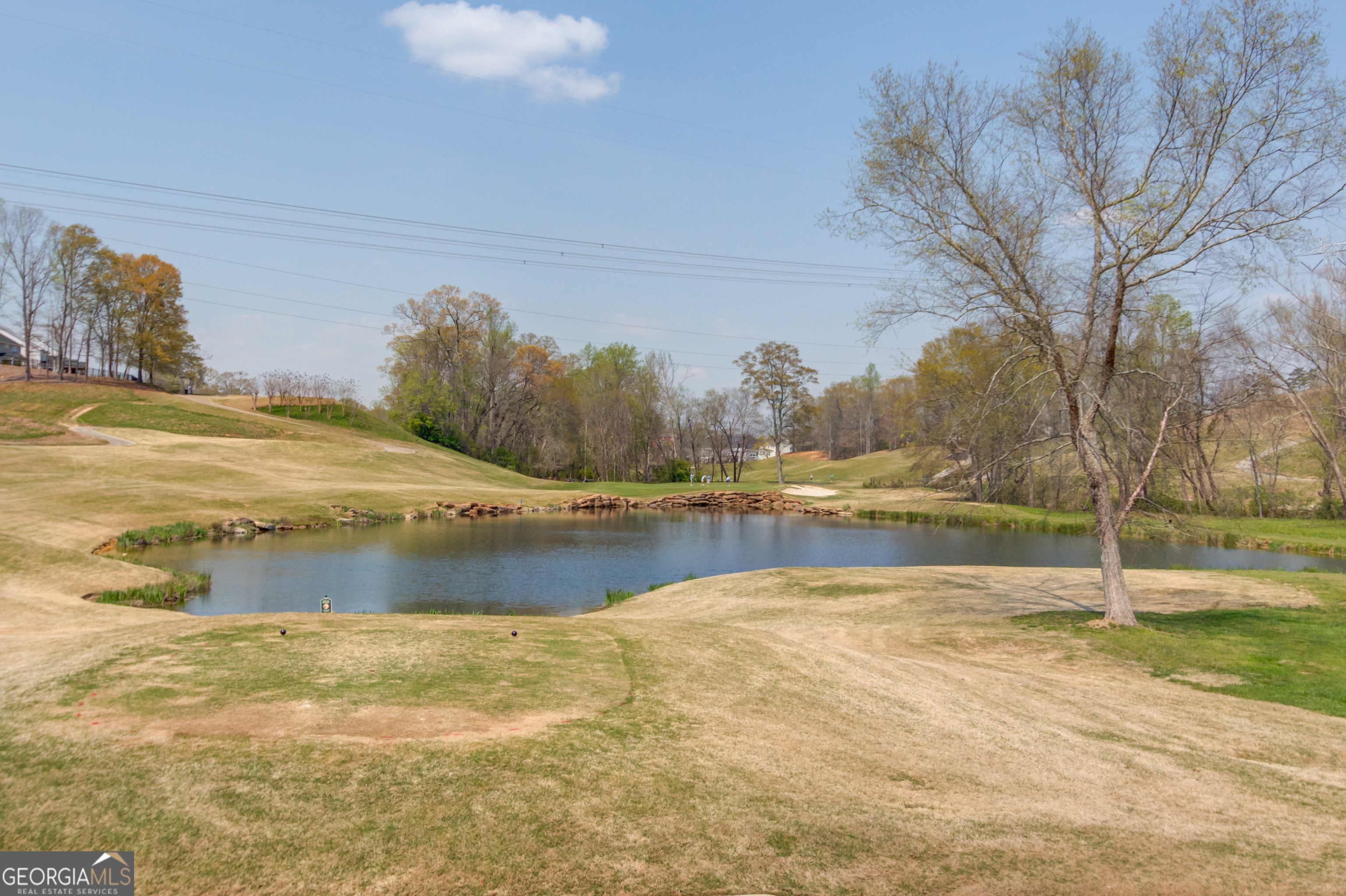 6378 Hickory Branch Drive Hoschton GA 30548