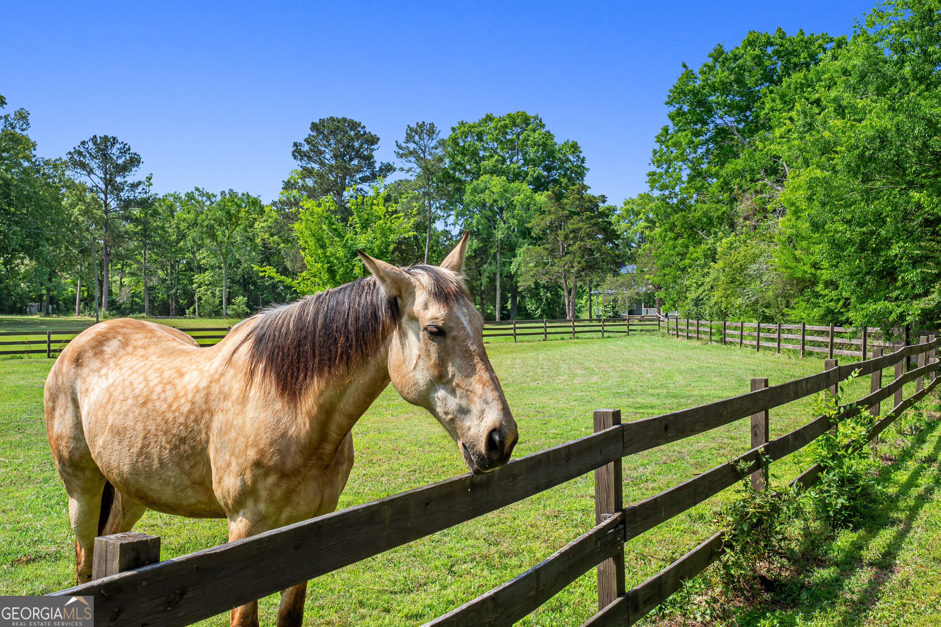 1055 Bobby Brown State Park Road Elberton GA 30635