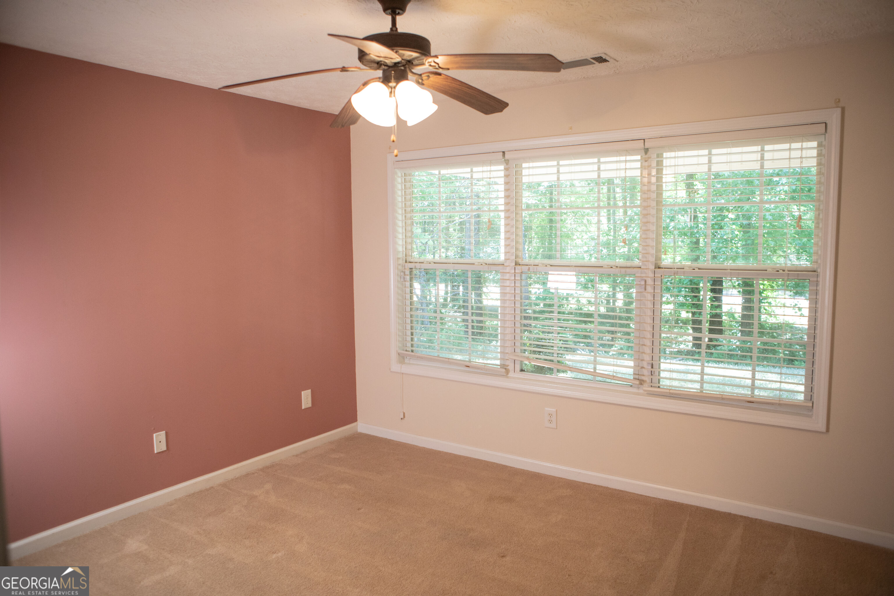 120 Mill Pond Court Milner GA 30257