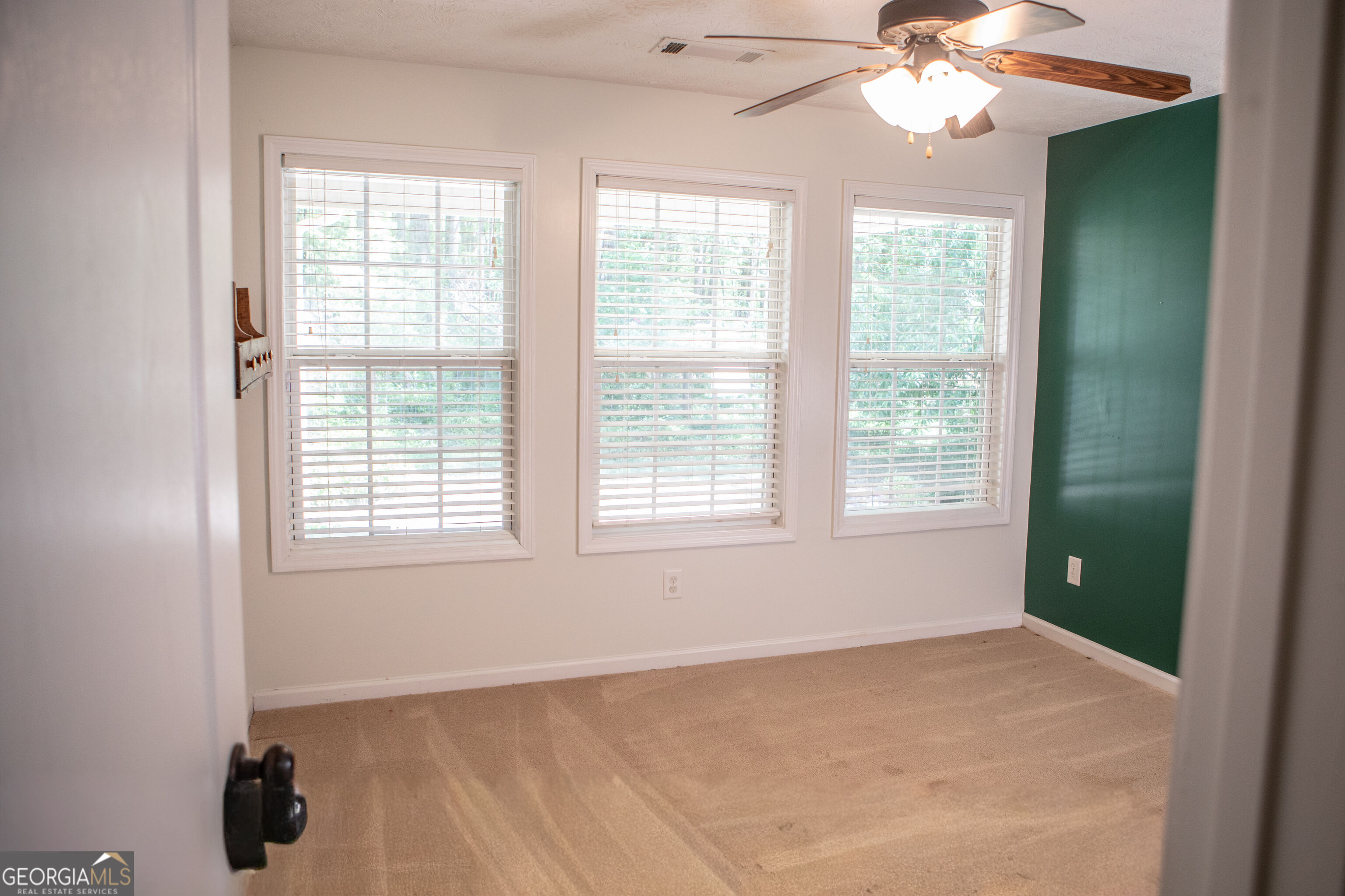 120 Mill Pond Court Milner GA 30257