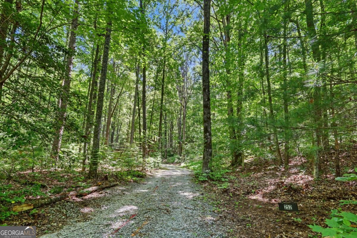 252 Navigator Lane Tiger GA 30576