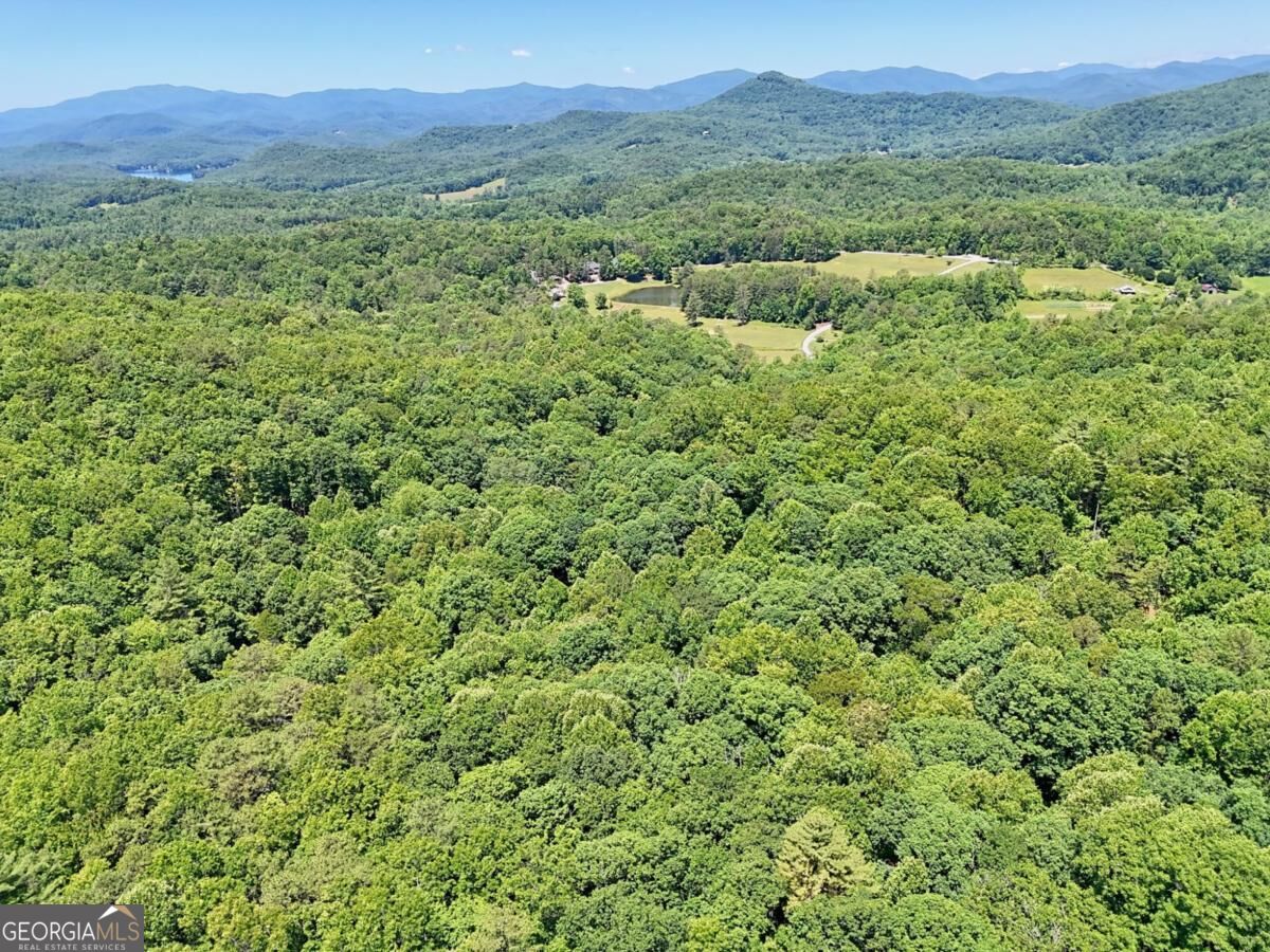 252 Navigator Lane Tiger GA 30576