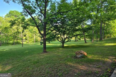3800 Cutcane Road Mineral Bluff GA 30559