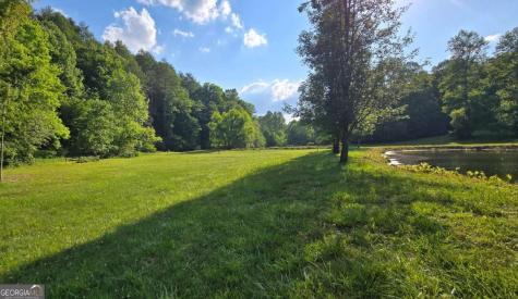 3800 Cutcane Road Mineral Bluff GA 30559