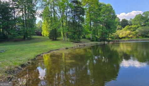 3800 Cutcane Road Mineral Bluff GA 30559