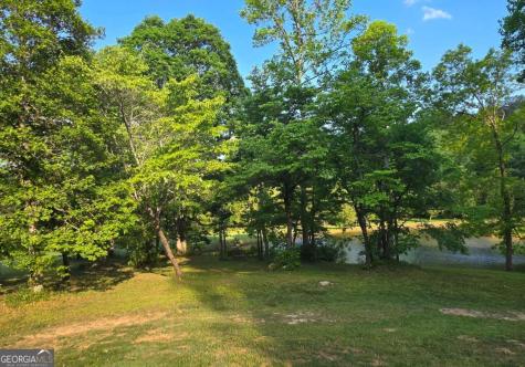 3800 Cutcane Road Mineral Bluff GA 30559