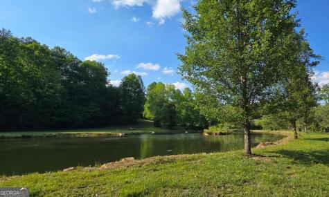 3800 Cutcane Road Mineral Bluff GA 30559