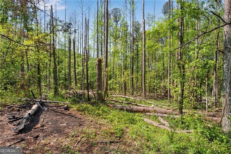 76 Beech Creek Circle Winder GA 30680