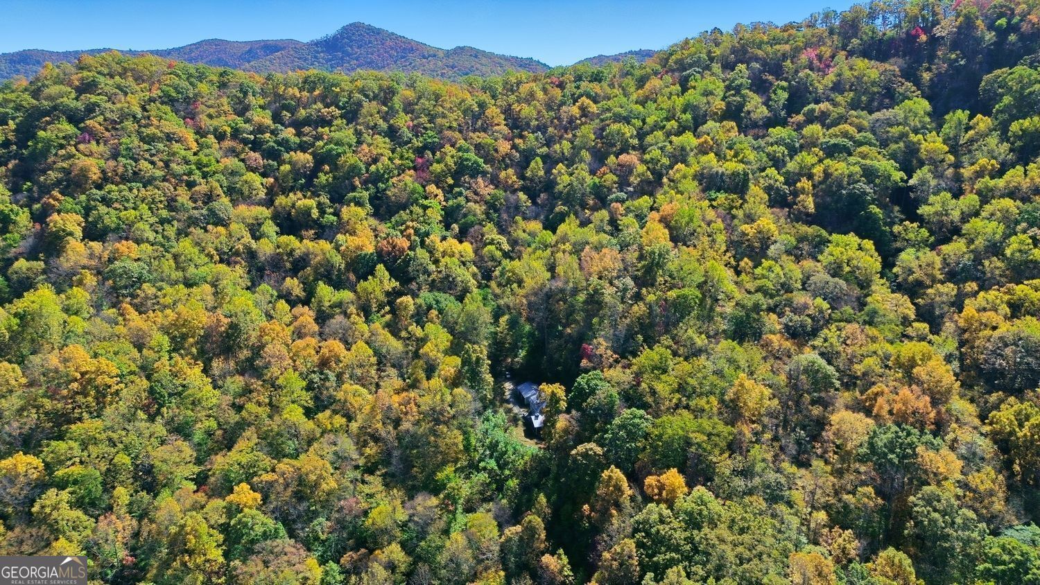 73 Redbird Lane Rabun Gap GA 30568