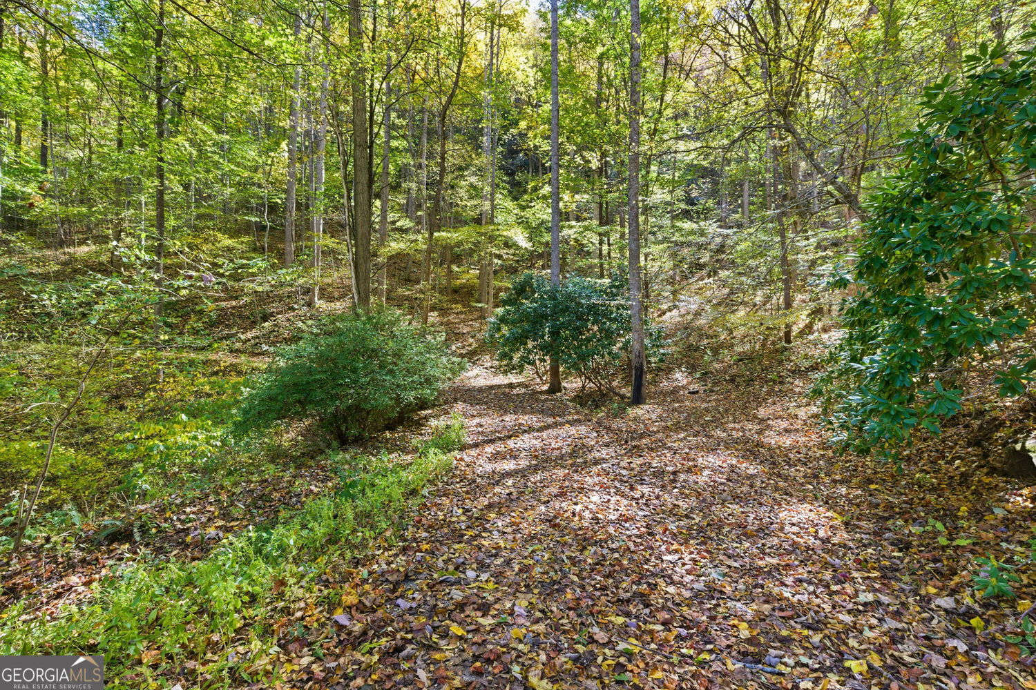 73 Redbird Lane Rabun Gap GA 30568