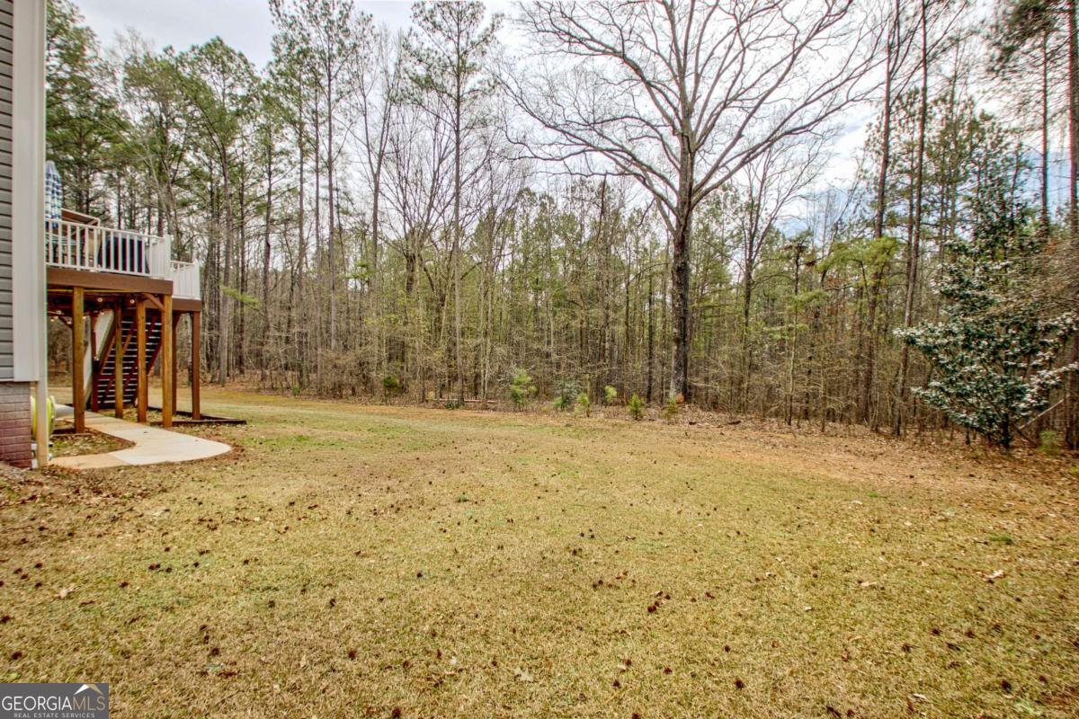 68 Skyview Road Senoia GA 30276