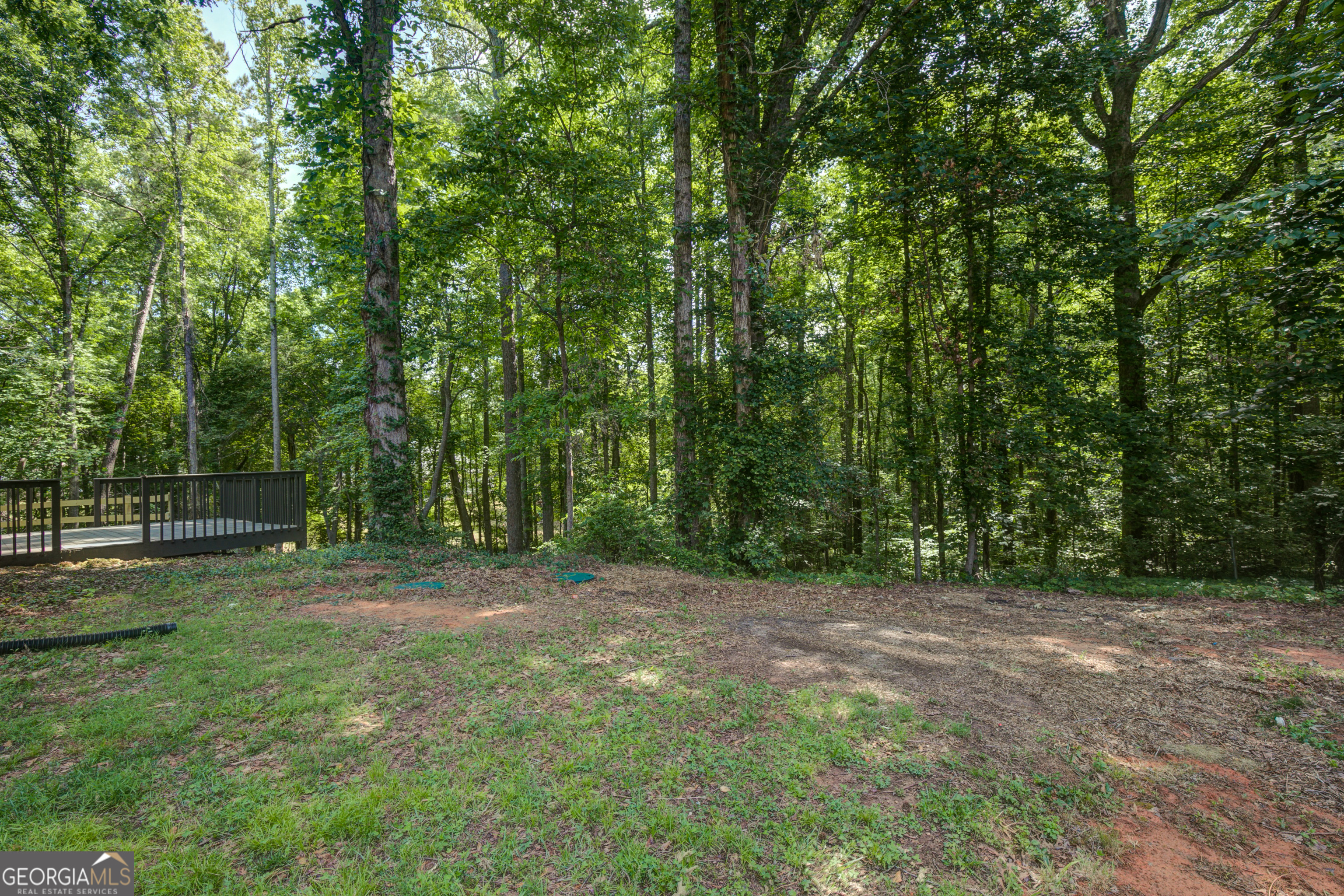 65 Riverside Way Sharpsburg GA 30277