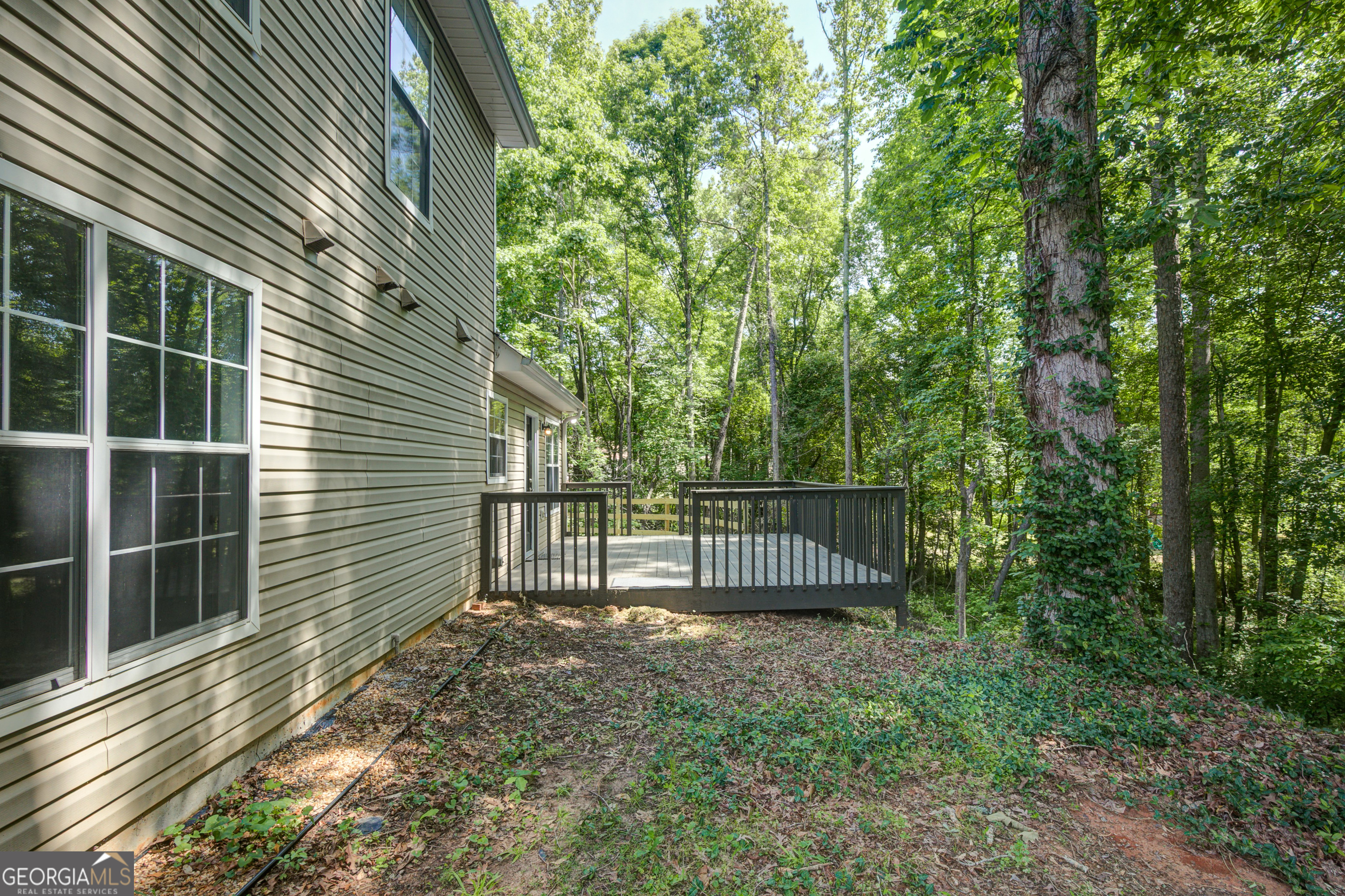 65 Riverside Way Sharpsburg GA 30277