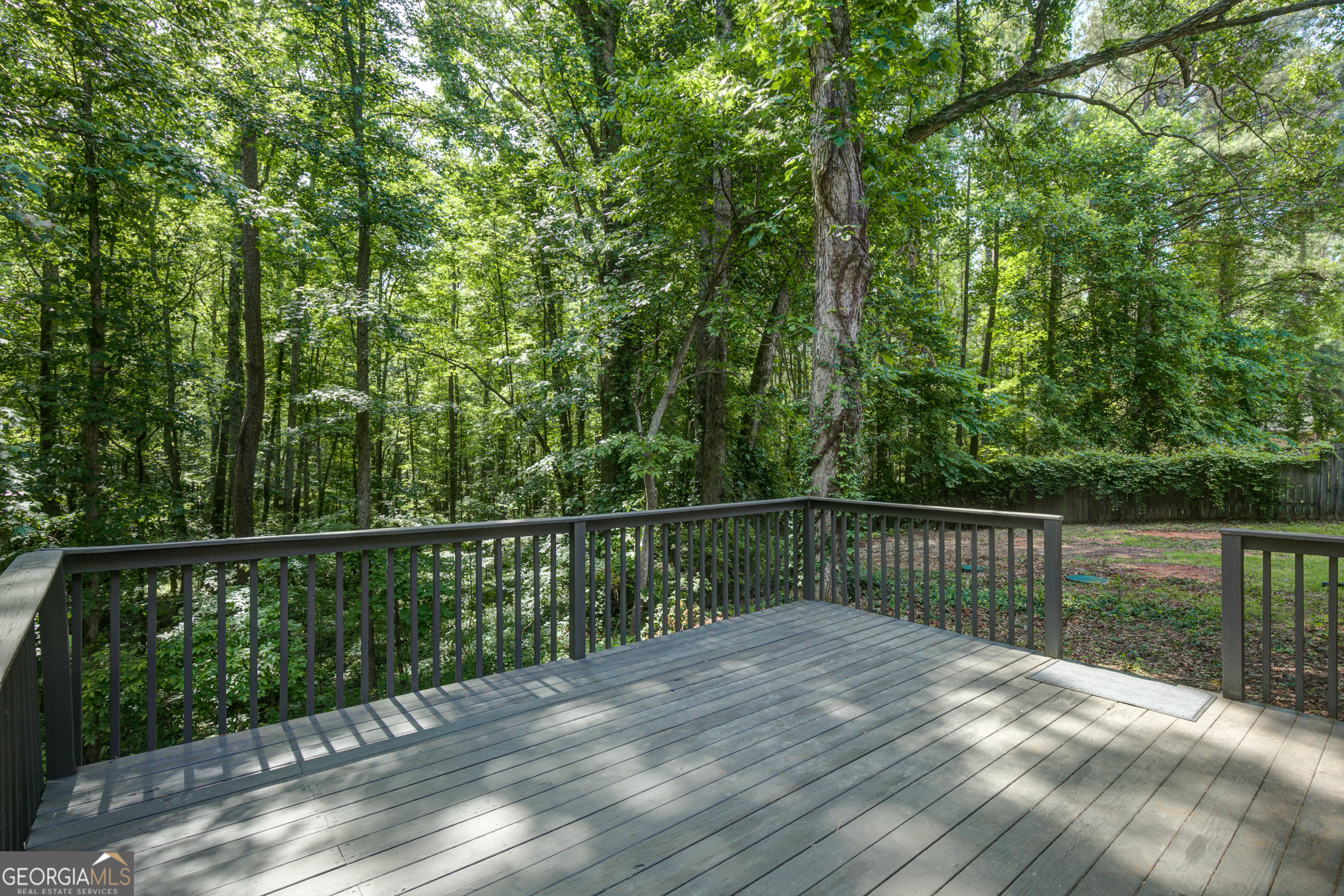 65 Riverside Way Sharpsburg GA 30277
