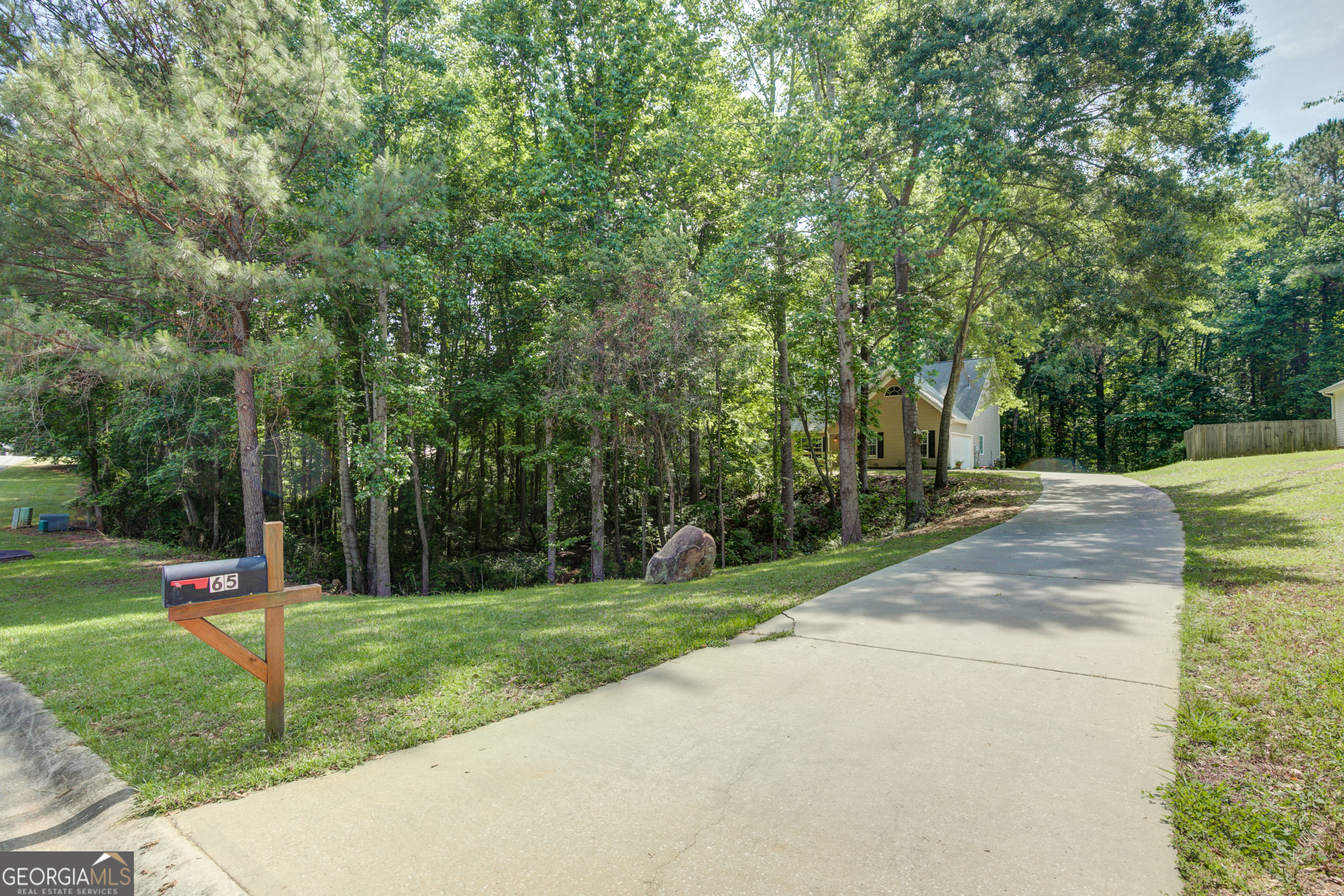 65 Riverside Way Sharpsburg GA 30277