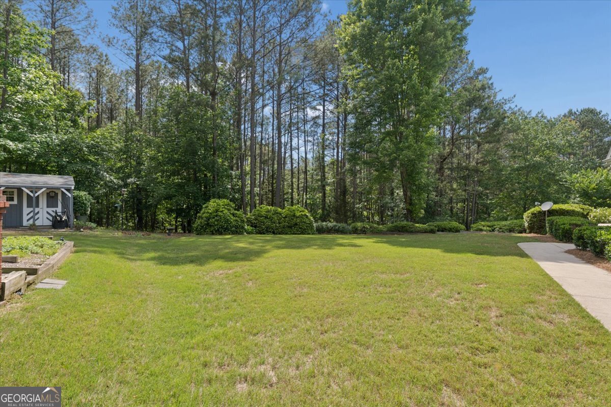 3610 Highway 142 Newborn GA 30056
