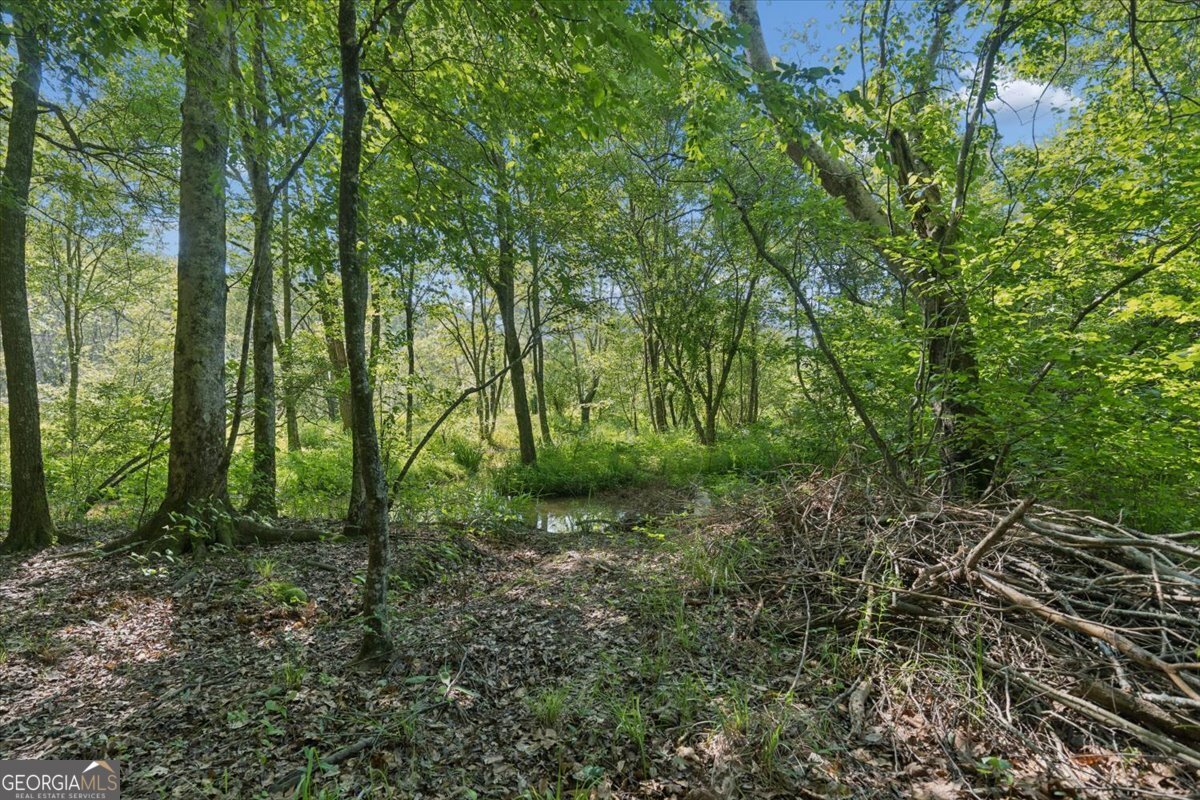3610 Highway 142 Newborn GA 30056