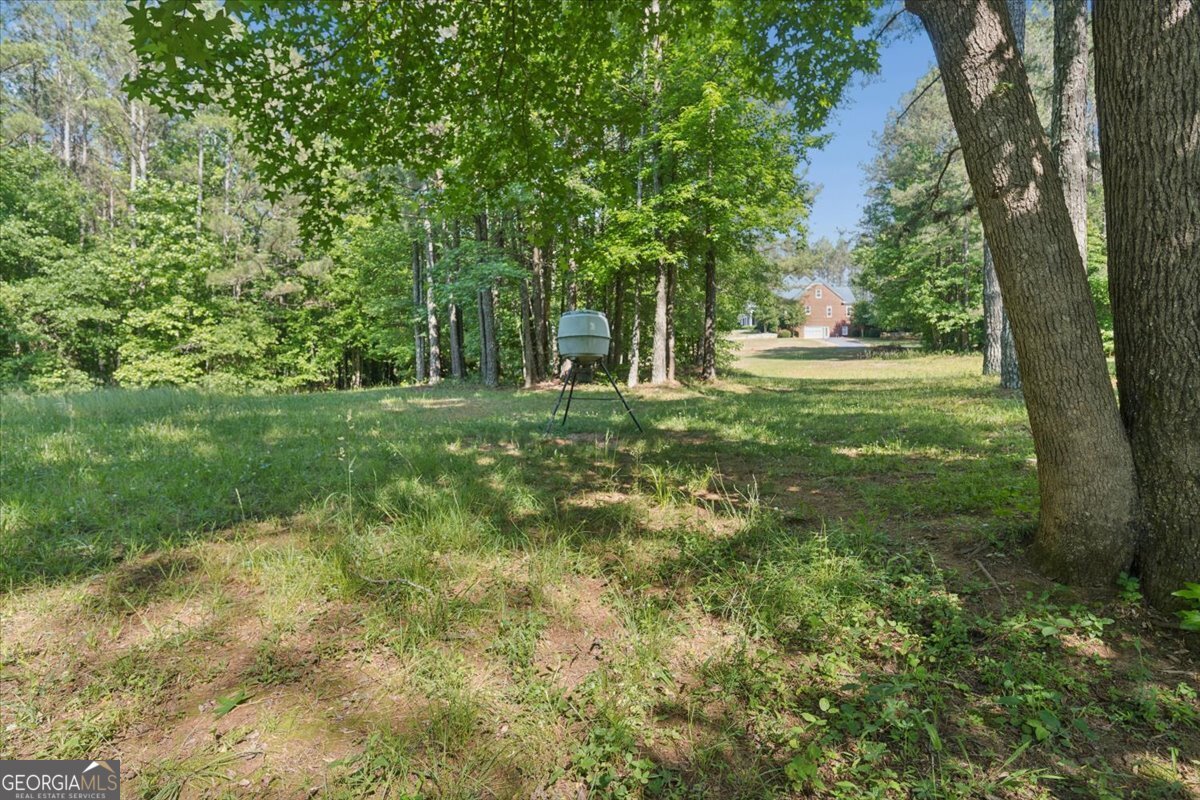 3610 Highway 142 Newborn GA 30056