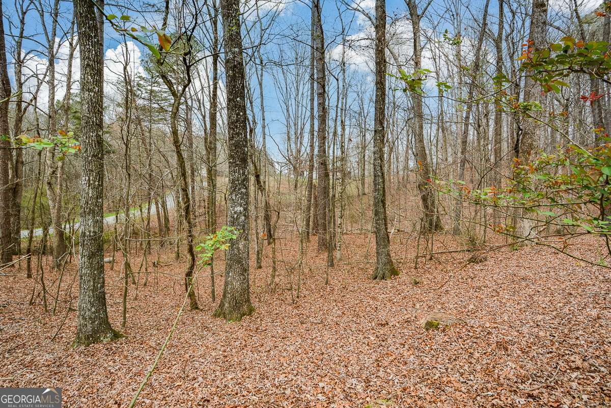 883 Tilley Road Talking Rock GA 30175