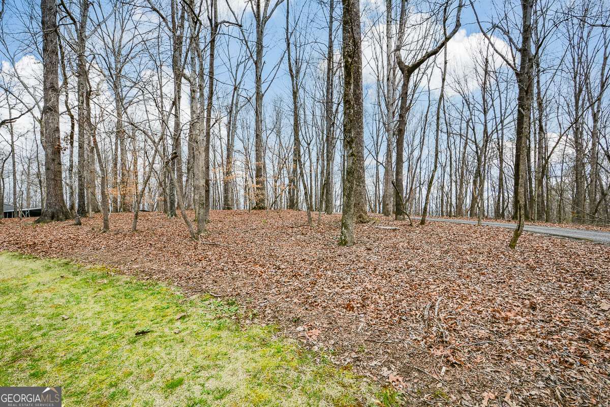 883 Tilley Road Talking Rock GA 30175