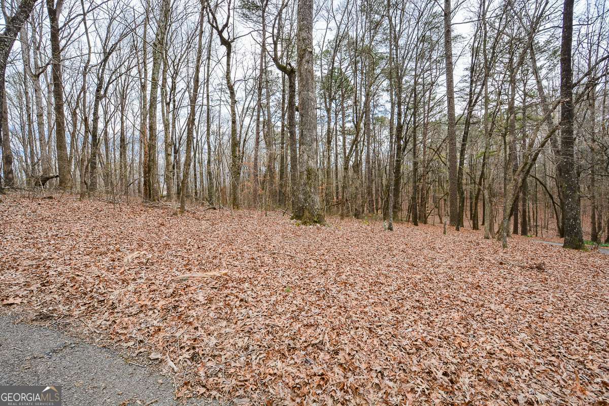 883 Tilley Road Talking Rock GA 30175