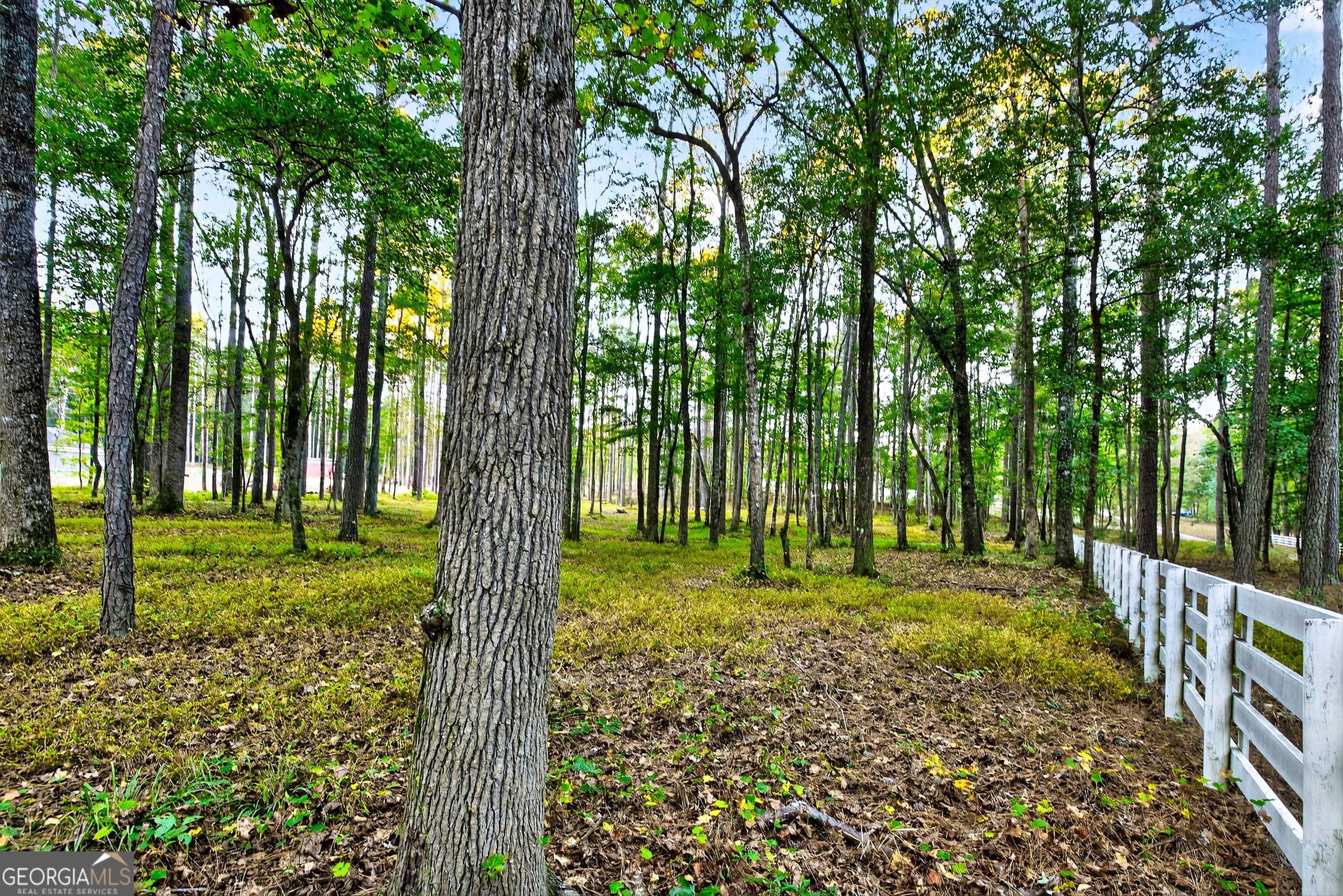 385 Huckaby Road Brooks GA 30205